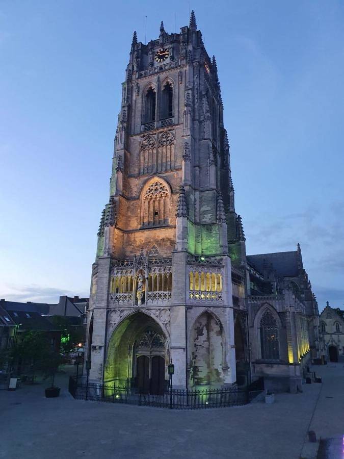 Location de vacances pour 2 personnes, avec vue et terrasse à Tongres - 2