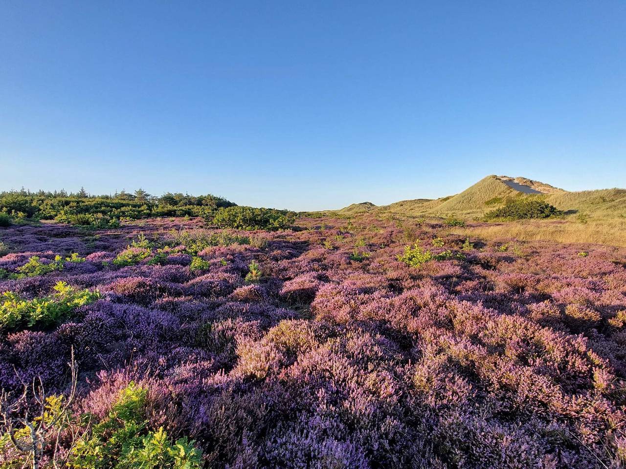 Meeresflucht in Ho in Ho, Varde