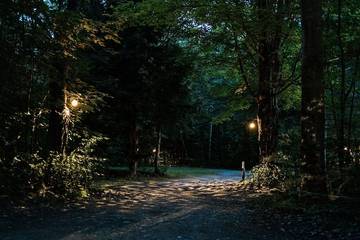 Camping for 2 Guests in Woodstock (NH), White Mountain National Forest, Picture 2