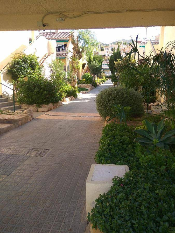 Maison d’hôte pour 2 personnes, avec terrasse ainsi que jardin et piscine à Benidorm - 3