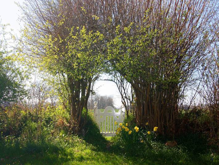 Ferienhaus für 5 Personen, mit Terrasse in Damp - 4