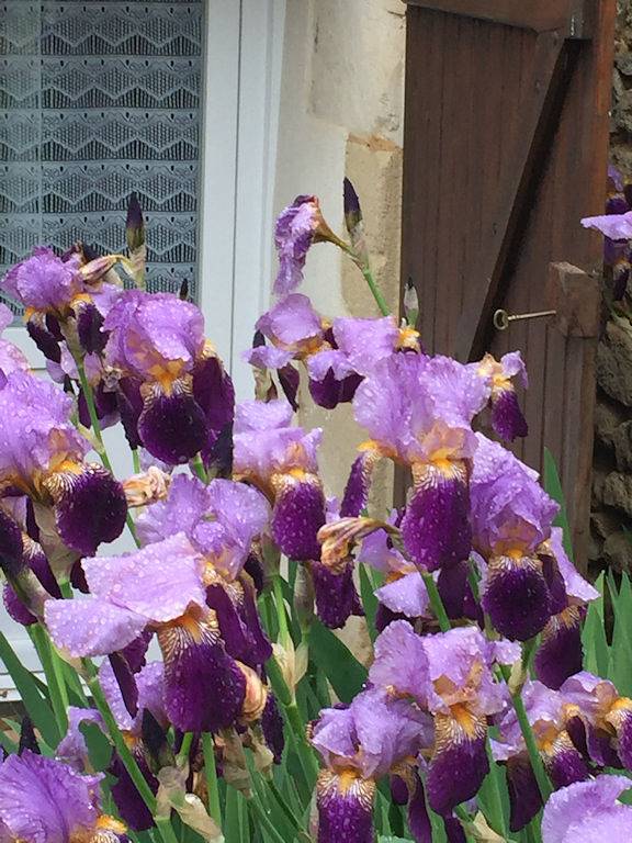 Gîte pour 5 personnes, avec terrasse et jardin à Montamisé - 3