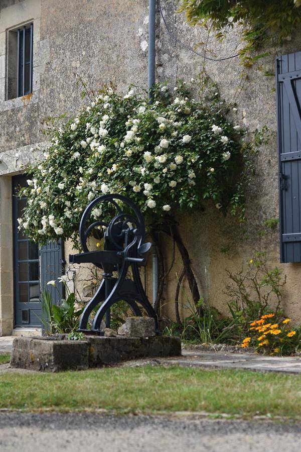 Un jardin et trois maisons in Brux, Vienne (France)