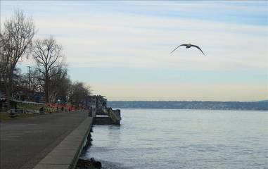 Vacation Rental for 6 Guests in Alki Beach, Seattle, Picture 2