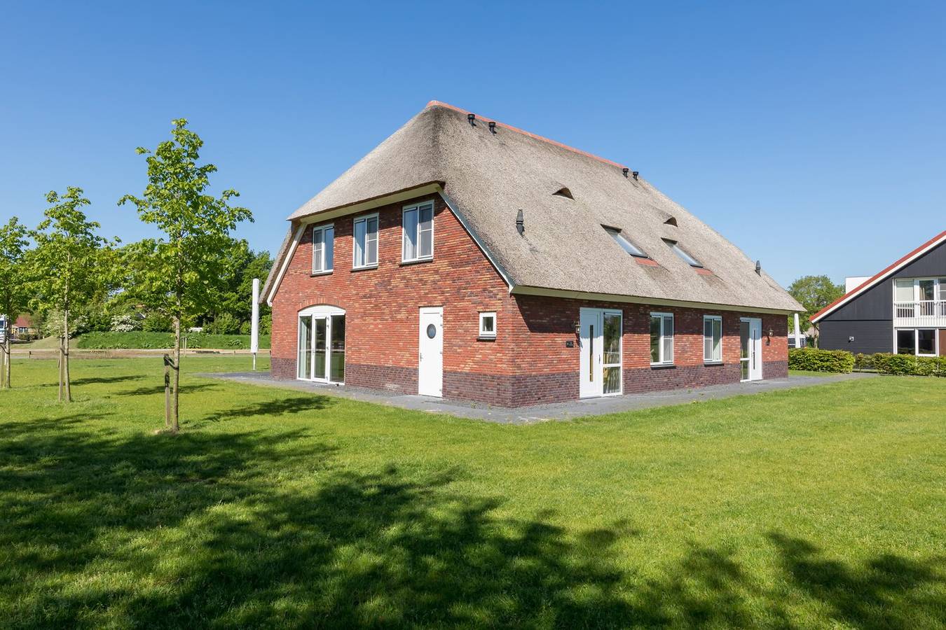 Weerribben — Keizerlibel 12 in Nationaal Park Weerribben-Wieden