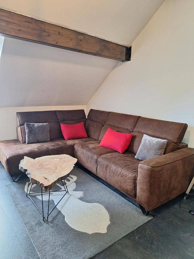 Gîte pour 6 personnes, avec jardin à Rumilly - 3