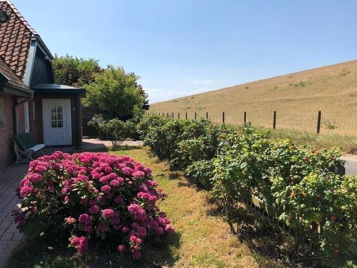 Ferienhaus für 12 Personen, mit Terrasse und Garten in Niedersachsen - 3