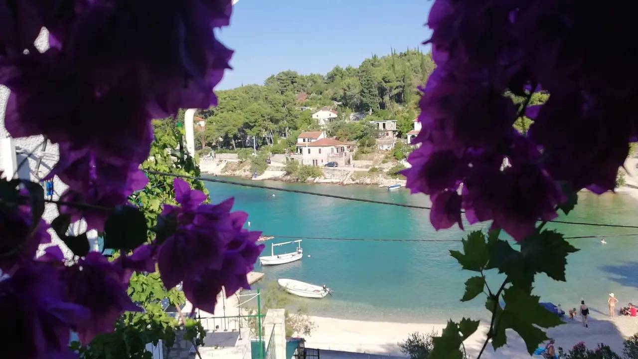 Ganze Ferienwohnung, Ferienwohnung für 4 Personen (39 m²) in Rogač in Rogac, Solta