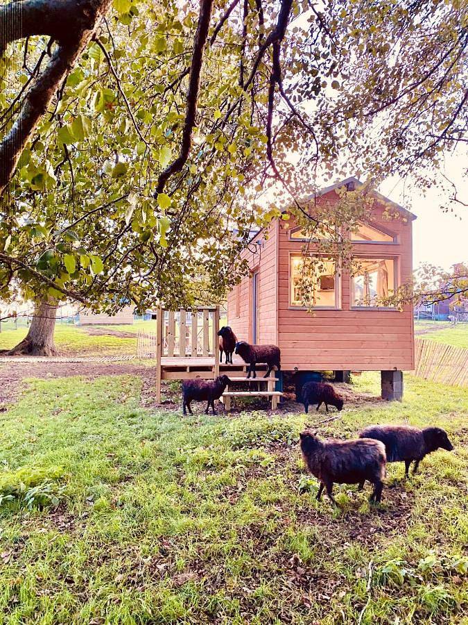 Location de vacances pour 3 personnes, avec jardin ainsi que piscine et vue à Cholet - 2
