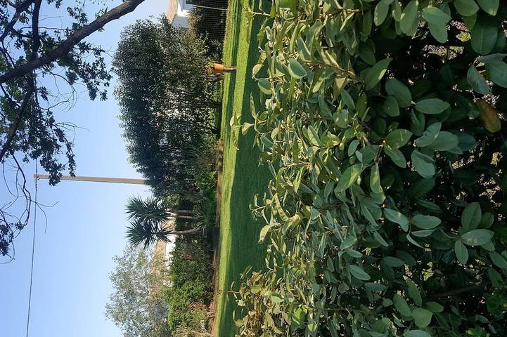 Villa in private seaside residence in shady park. in Poggio-Mezzana, Corte region
