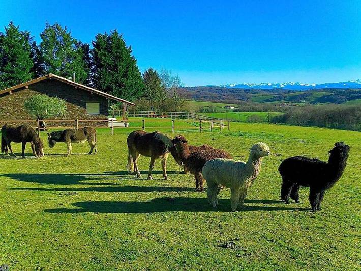 Location de vacances pour 3 personnes, avec jardin à Bardos - 4