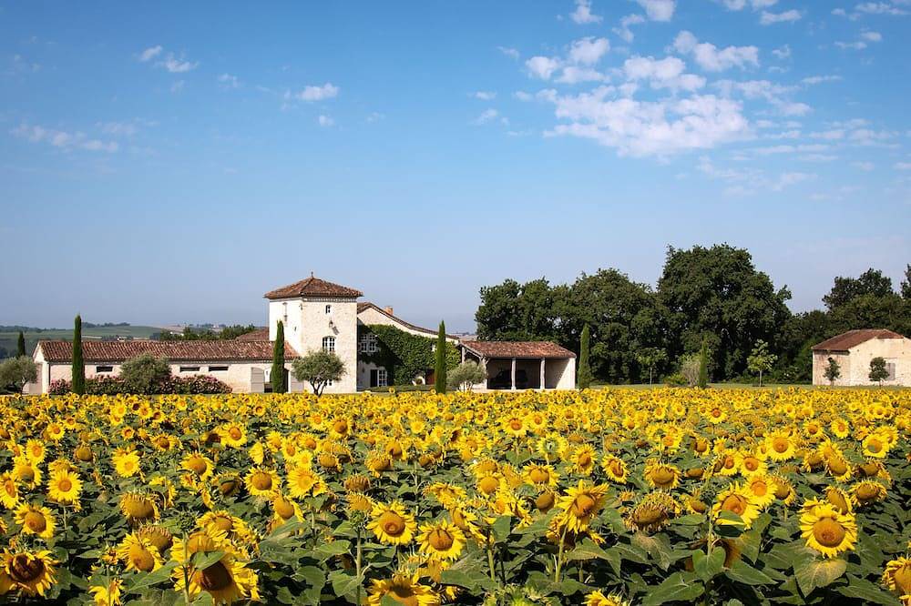 Isolé, nouvellement restauré 14c de luxe colline ferme située sur 10 hectares in Condom, Gers