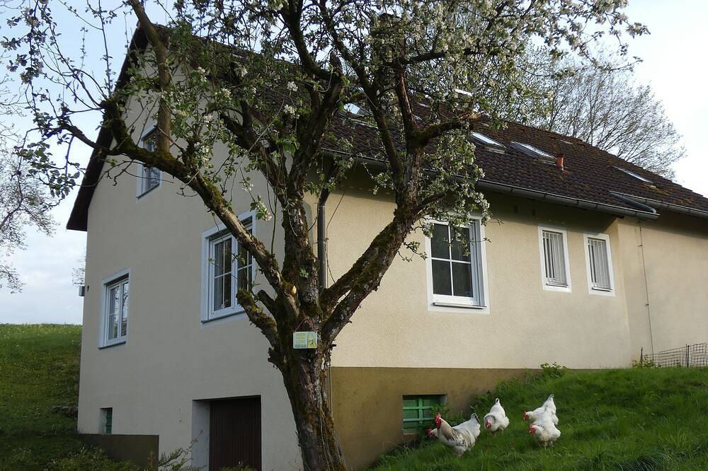 Ganze Wohnung, Weisses Huhn von Moschendorf in Gößweinstein, Frankenalb