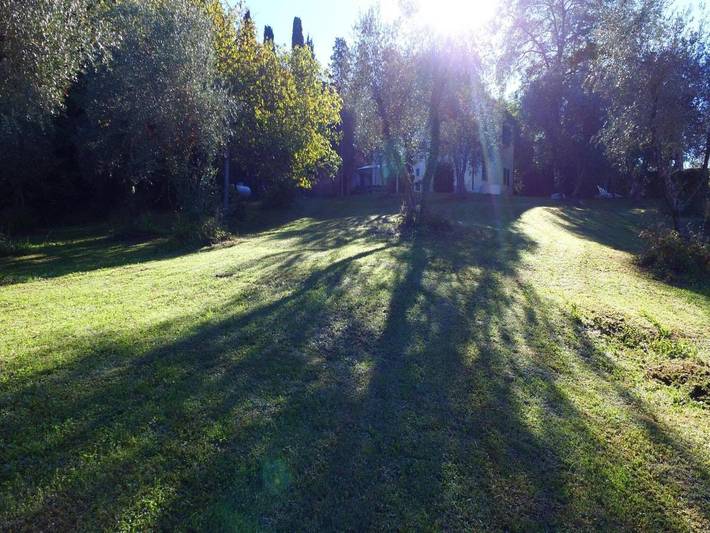 Location de vacances pour 12 personnes, avec jardin et piscine, animaux acceptés dans Ghizzano - 3