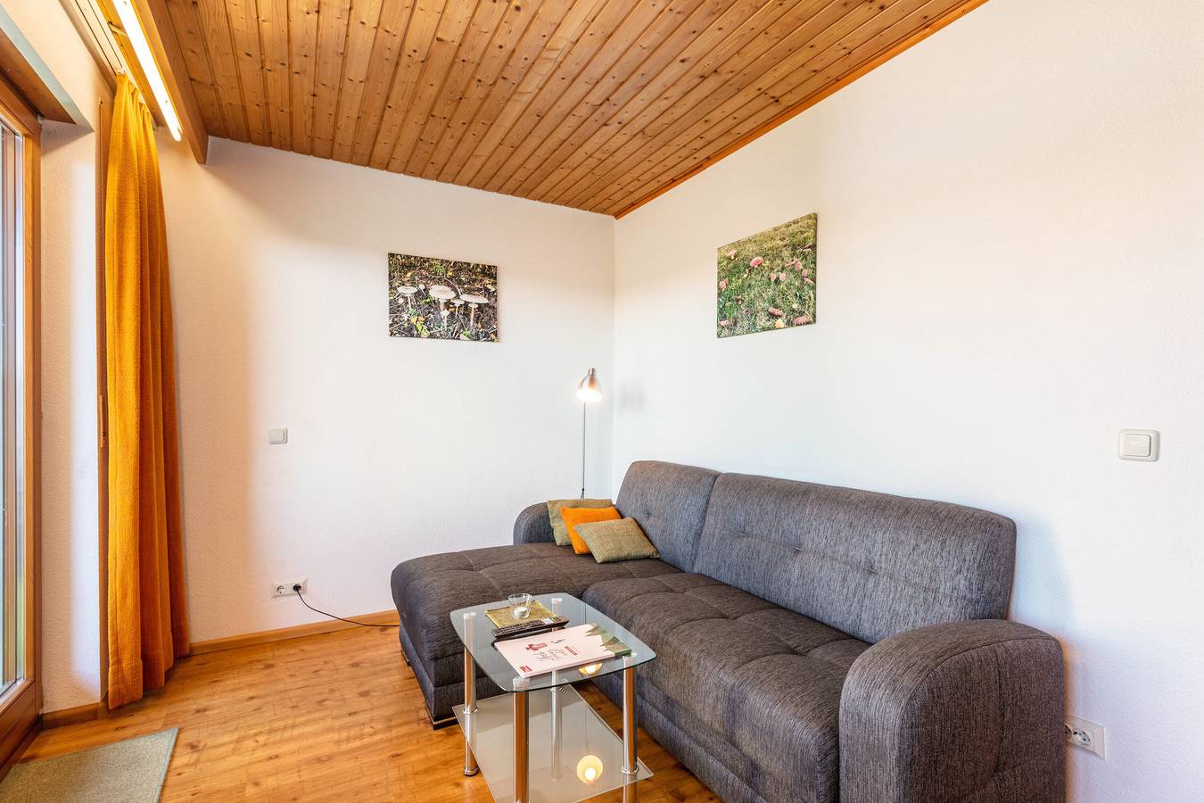 Appartement entier, Haus Kehrwieder – Appartement 3 avec balcon ensoleillé privé, vue montagne, Hochschwarzwald-Card, Wi-Fi in Todtnauberg (Todtnau), Todtnau