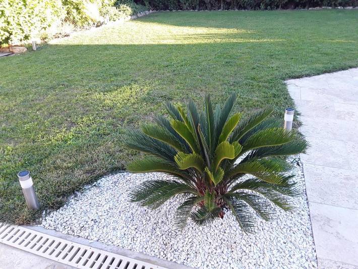 Gîte pour 2 personnes, avec jardin et piscine à Sénas - 3