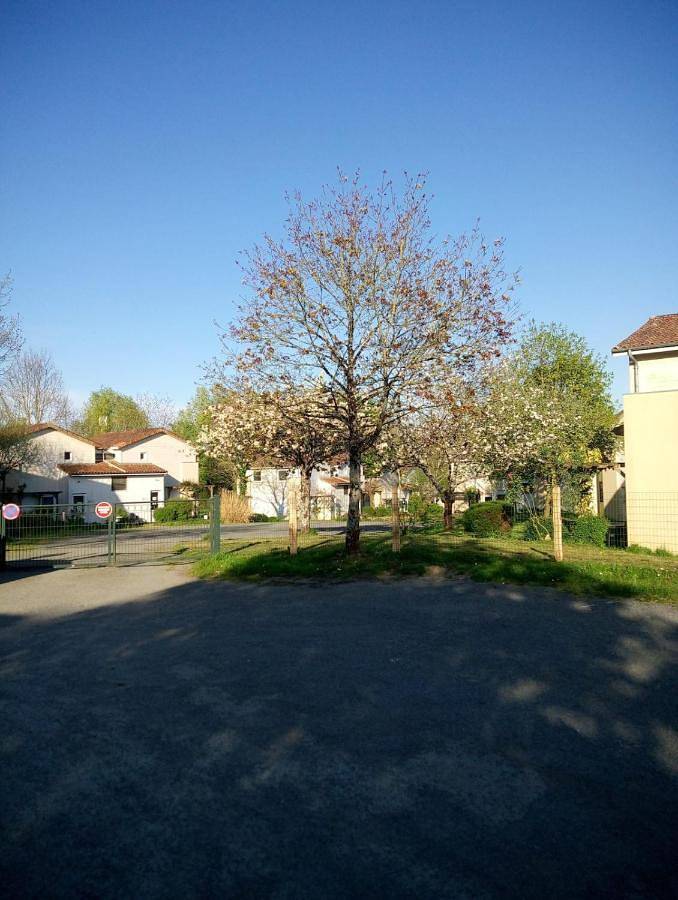 Gîte pour 2 personnes, avec jardin et vue, animaux acceptés dans Pescalis Moncoutant - 4