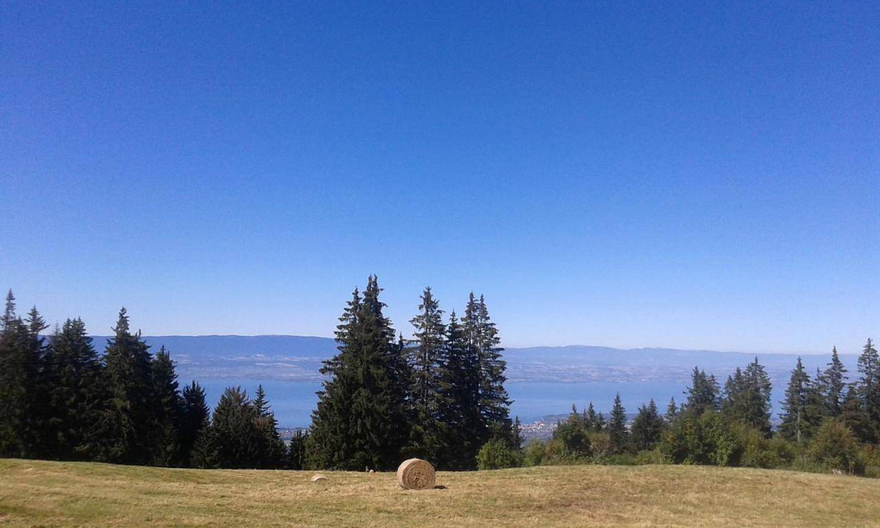 Appartement entier, Appartement "Justine" pour personnes valides in Lullin, Région de Thonon-les-Bains