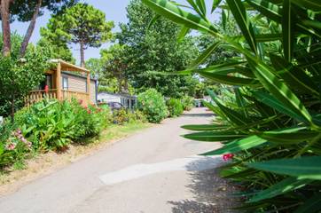 Camping pour 4 Personnes dans Grau-d'Agde, Agde, Photo 4