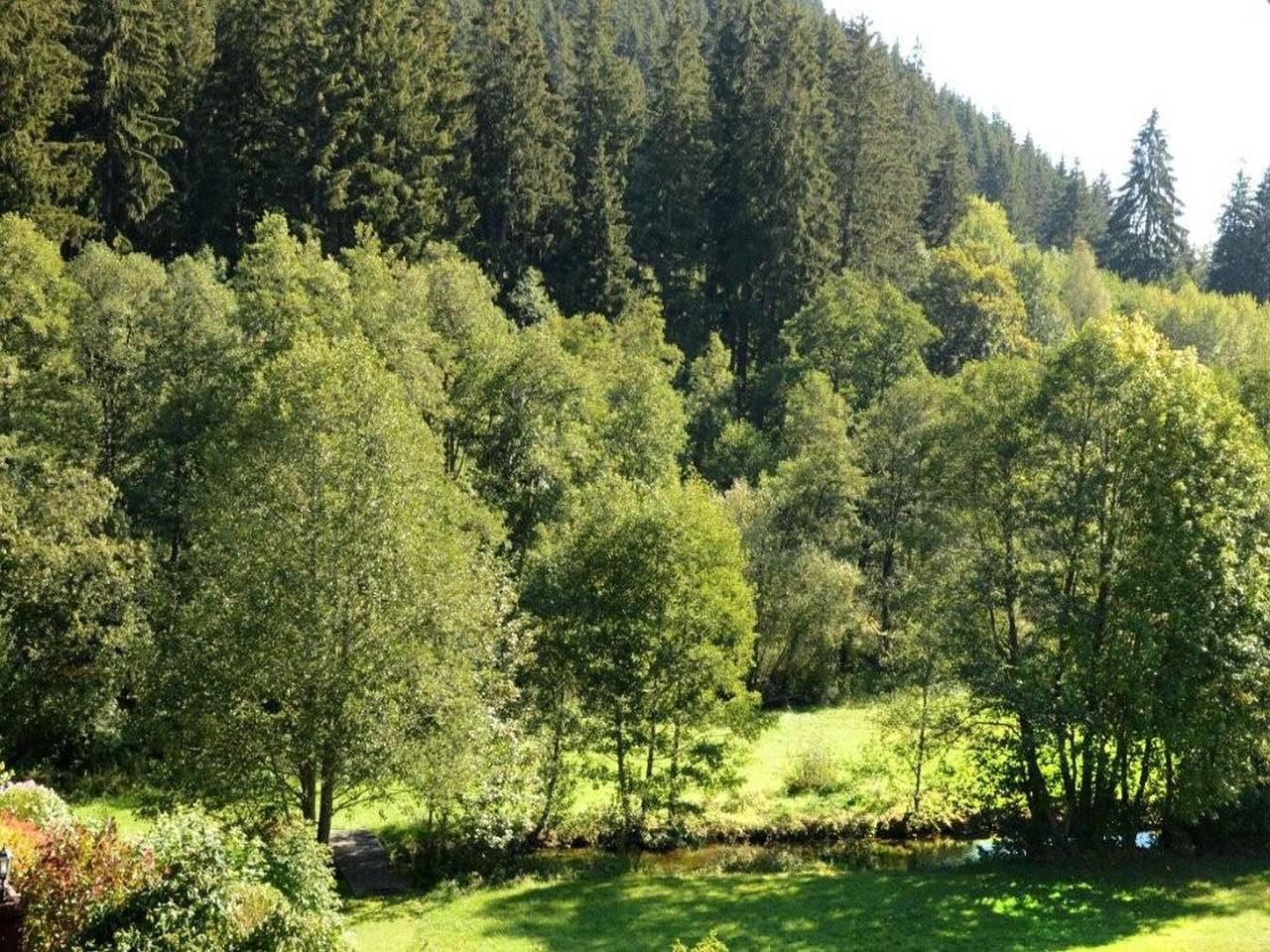 Ganze Wohnung, Apartment 'Im Kupferhammer' mit Bergblick, Balkon und Wlan in Neustadt (Titisee-Neustadt), Titisee-Neustadt