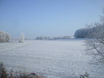 Bauernhof für 5 Personen in Wagersrott, Ostsee Schleswig-Holstein, Bild 4