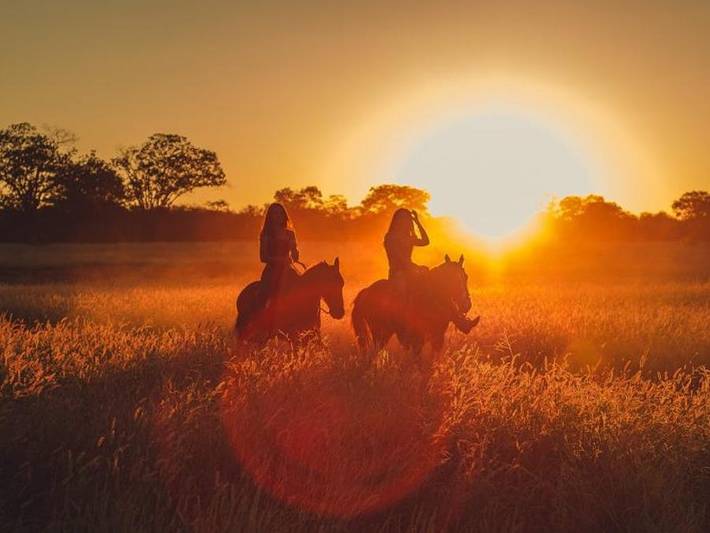 Camping pour 4 personnes, animaux acceptés en Bourgogne - 3