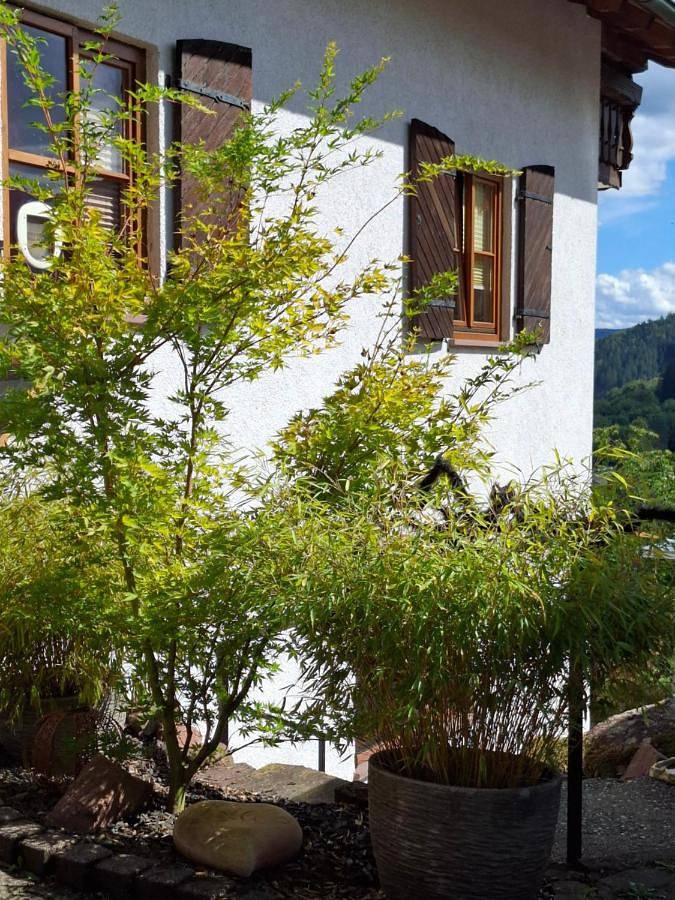 Ferienwohnung für 6 Personen, mit Whirlpool und Terrasse sowie Garten und Ausblick in Hirschhorn (Neckar) - 3