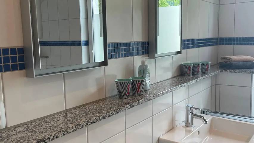 Ferienhaus für 8 Personen, mit Garten und Sauna sowie Terrasse am Bodensee - 3