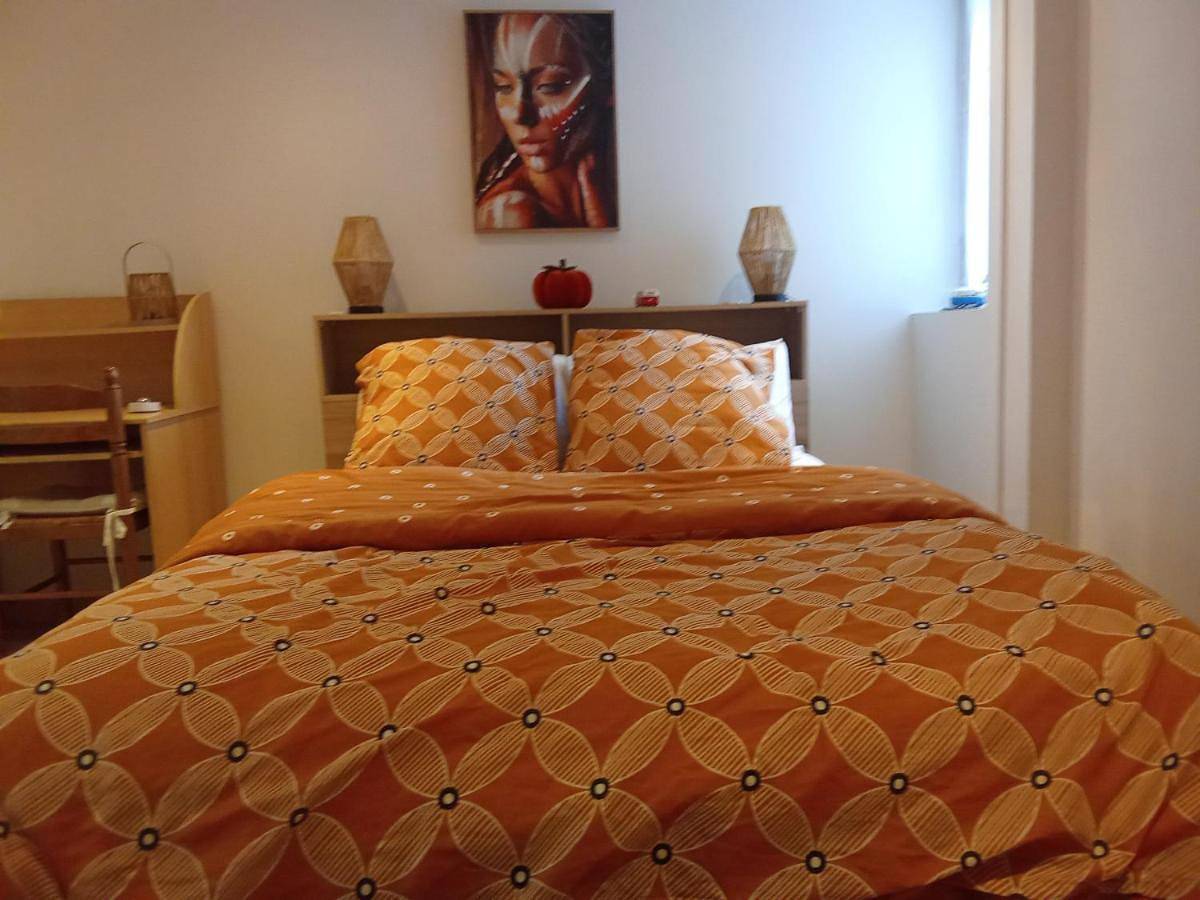 Appartement entier, One-Bedroom Apartment in Raismes, Région de Valenciennes