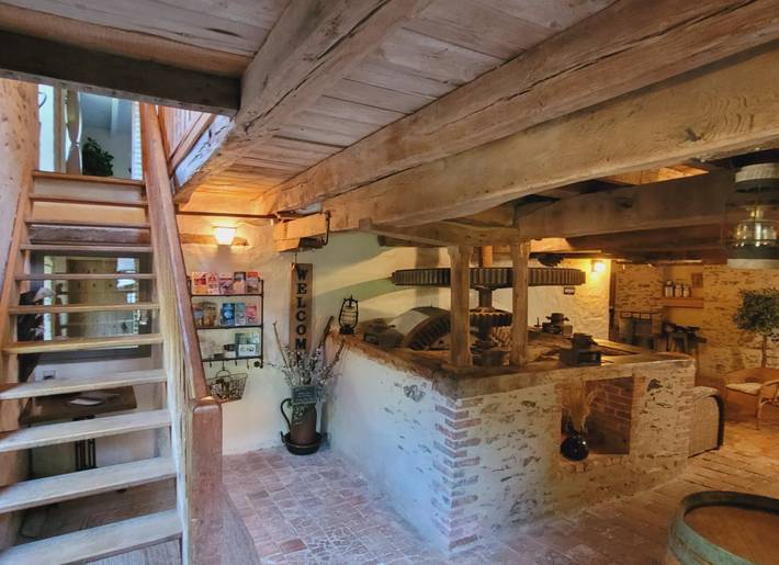 Chambre d’hôte pour 5 personnes, avec jardin dans Chemillé-en-Anjou - 3