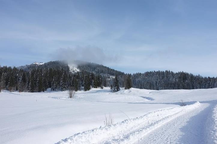Ganze Ferienwohnung, Appartement/Fewo für 2-7 Personen in Loferer und Leoganger Steinberge, Fieberbrunn