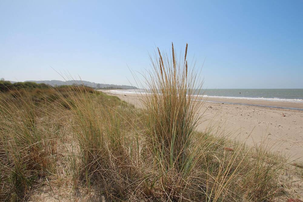 La Mare aux Loups - La Tour -   Paradis à 70 m à pied de la Mer et de la Forêt in Pennedepie, Région de Lisieux