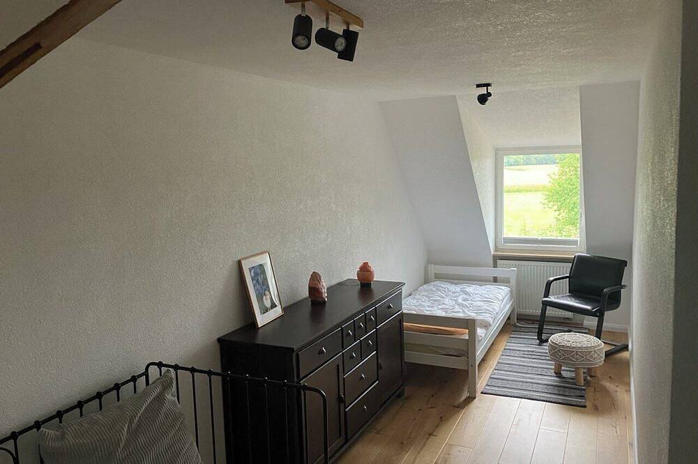 Spacious 240 sqm \"savoir-vivre\" vacation home near the German border in Schleithal, Wissembourg region