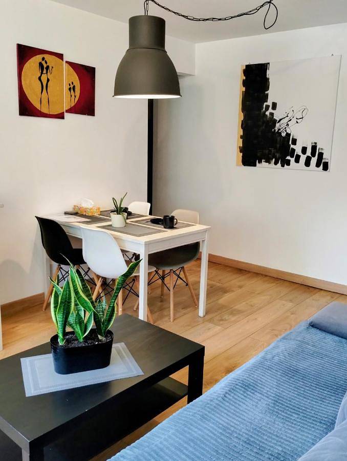 Cały apartament, Studio park Katowice/Chorzów in Chorzów, Śląsk