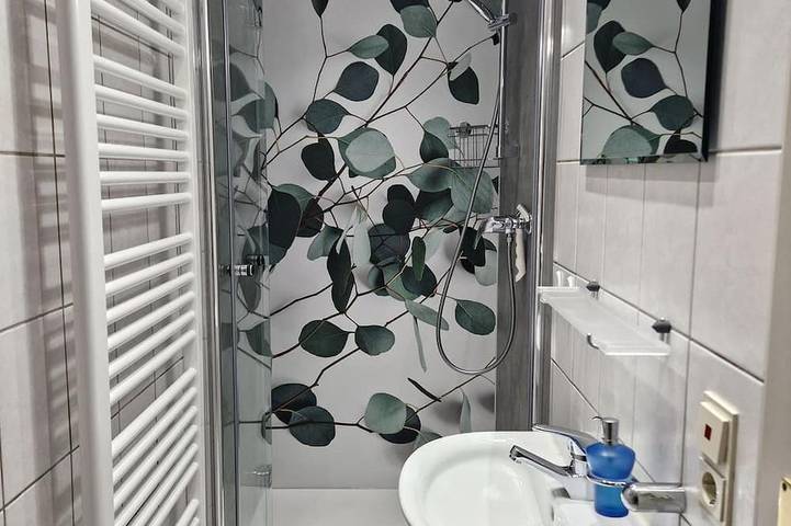 Ganze Wohnung, Ferienwohnung Späth - Appartement/Fewo, Dusche, Wc in Sankt Goarshausen, Mittelrhein