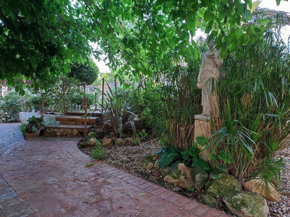 Les moreres a space for tranquility in Torrent, Provincia de Valencia