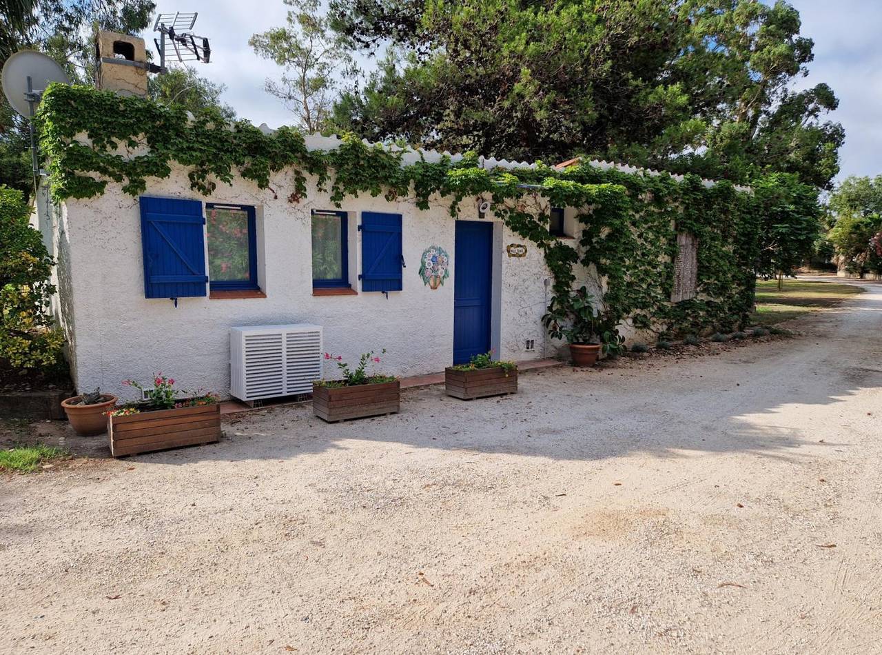 Le Cabanon d'Anaïs - gîte dans parc arboré in Perpignan, Côte d'Améthyste