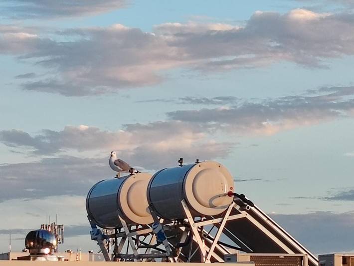 Maison d’hôte pour 6 personnes, avec vue et jardin, animaux acceptés à Makarska - 4