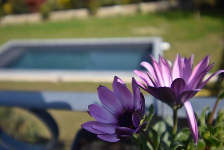 Chambre d’hôte pour 2 personnes, avec jardin et piscine en Savoie - 2