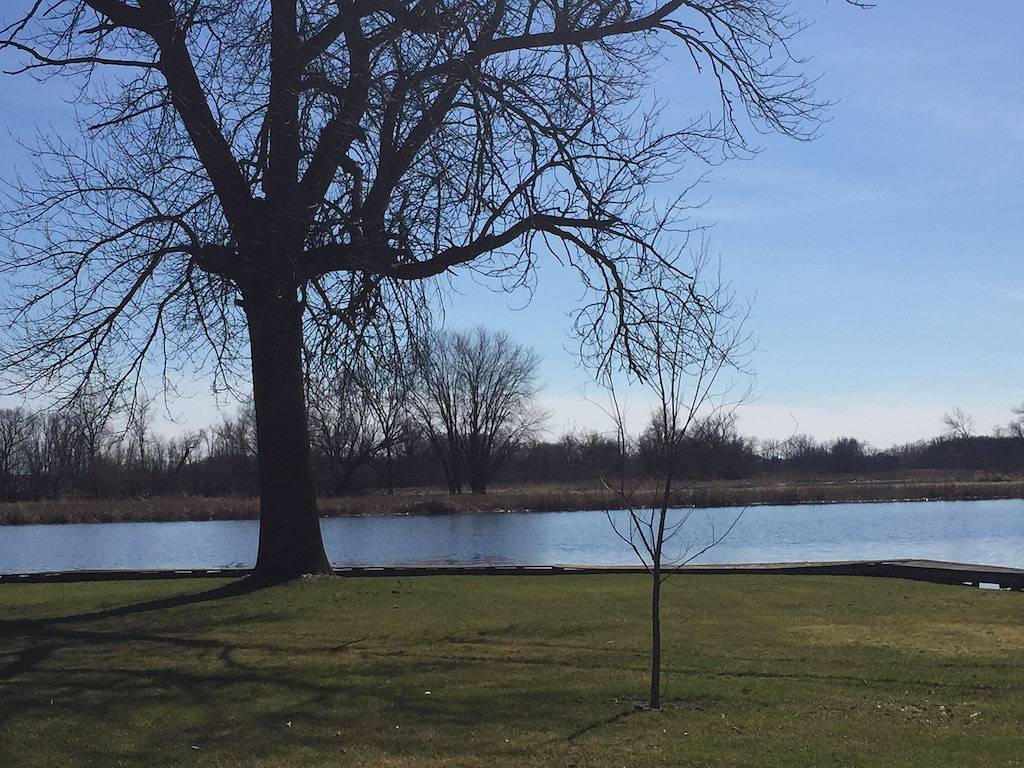 Log Cabin for 3 People in Wisconsin, USA