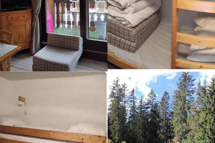 Gîte pour 4 personnes, animaux acceptés à Mieussy - 2