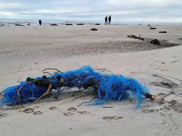 Ferieudlejning til 10 Personer i Sønder Nissum, Ulfborg, Billede 2