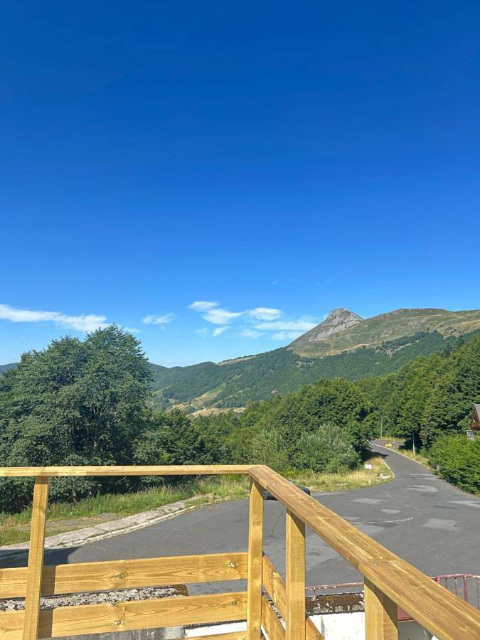 Gîte pour 10 personnes à Saint-Jacques-des-Blats - 2