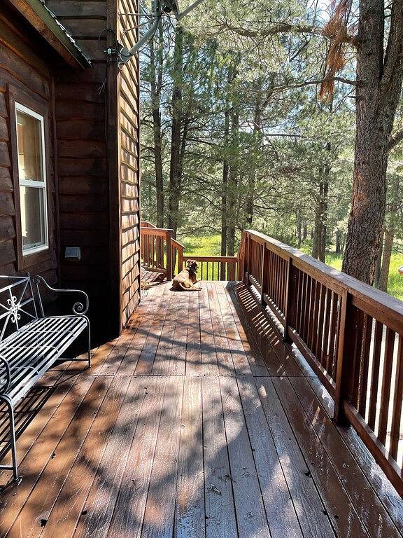 Nestled in the pines on 2 acres, secluded, close-to-nature house. Pet-Friendly! in Angel Fire, Colfax County
