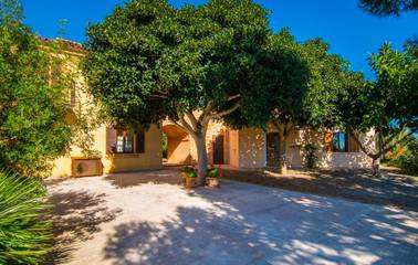 Finca in Manacor, Mallorca Osten für 7 