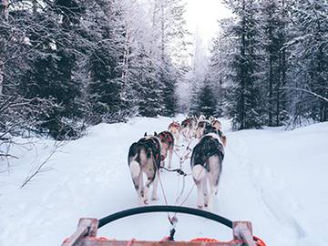 Gîte pour 2 personnes, animaux acceptés dans Les Deux Alpes
