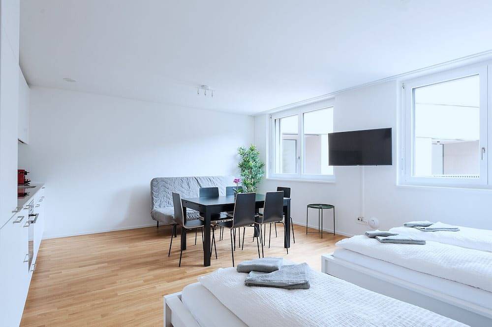 Ganze Wohnung, Bs Lynx Iii - Messe Hitrental Apartment in Basel, Region Basel RDK