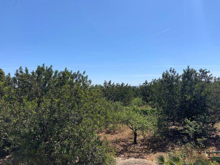 Casa rural para 4 personas, con jardín además de vistas y balcón en San Carlos de la Rápita - 2