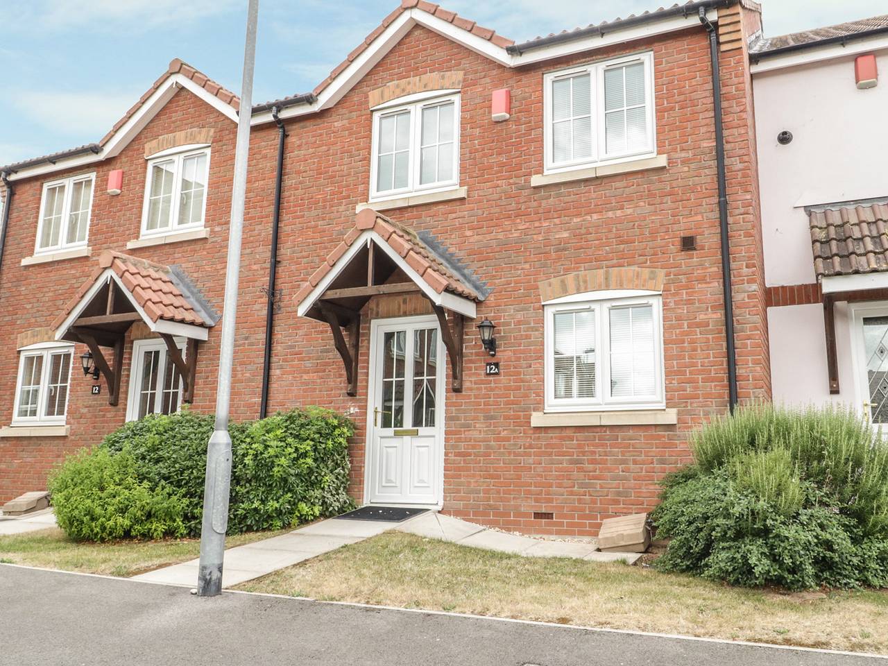 Dragonfly in North Petherton, Somerset