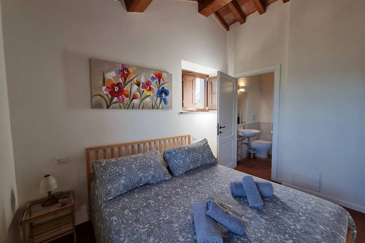 Fienile ristrutturato, vista su Barga, piscina privata riscaldata*. in Barga, Parco Regionale delle Alpi Apuane